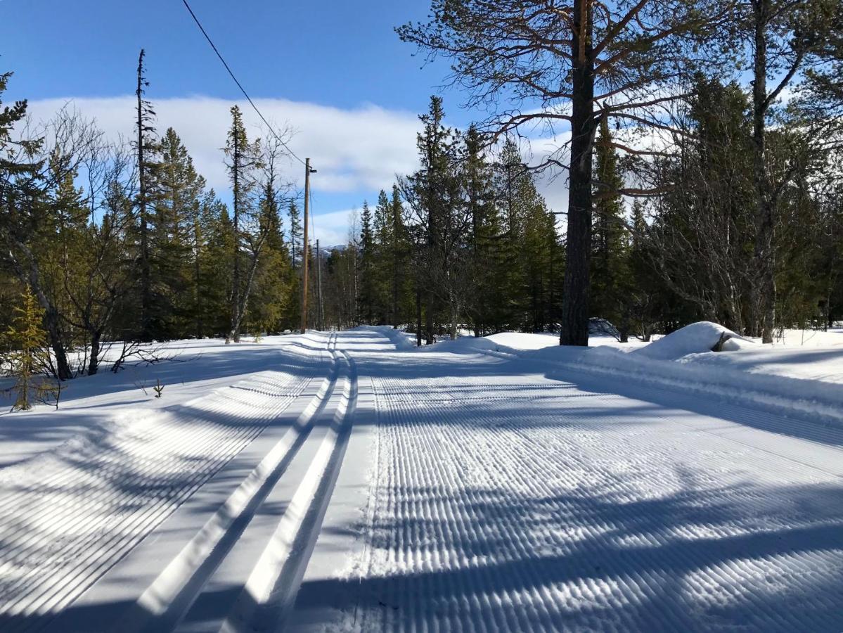 North Mountain Lodge Funäsdalen المظهر الخارجي الصورة